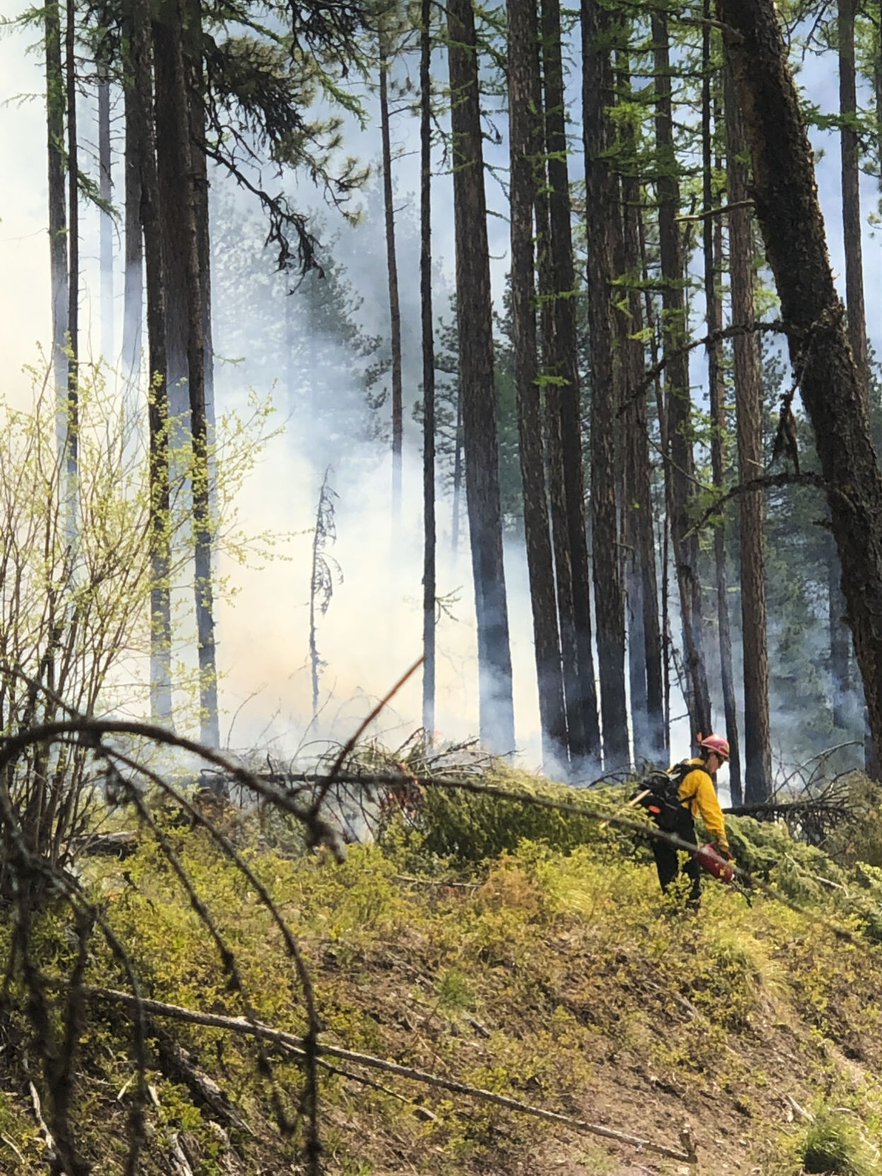 Lea Bossler runs a drip torch on a wildland fire.